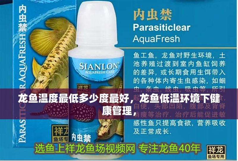 龍魚溫度最低多少度最好，龍魚低溫環境下健康管理，