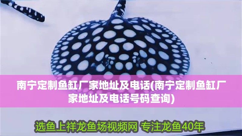 南寧定制魚缸廠家地址及電話(南寧定制魚缸廠家地址及電話號碼查詢)