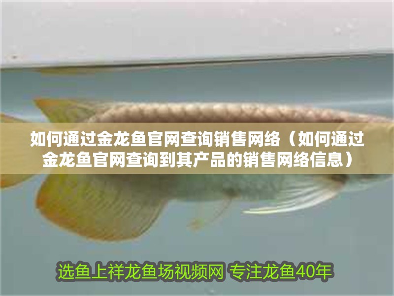 如何通過金龍魚官網(wǎng)查詢銷售網(wǎng)絡(luò)（如何通過金龍魚官網(wǎng)查詢到其產(chǎn)品的銷售網(wǎng)絡(luò)信息）
