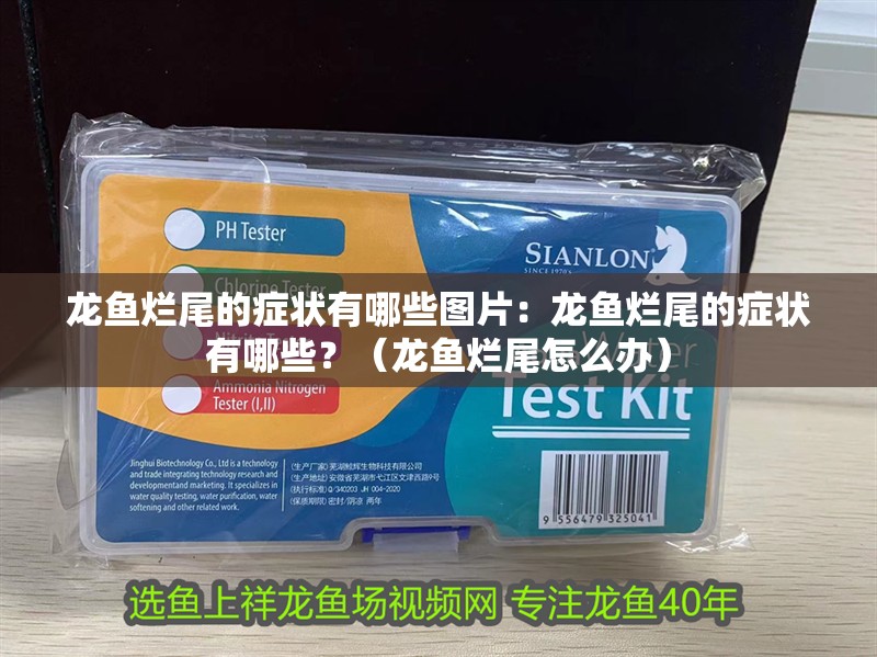 龍魚爛尾的癥狀有哪些圖片：龍魚爛尾的癥狀有哪些？（龍魚爛尾怎么辦）