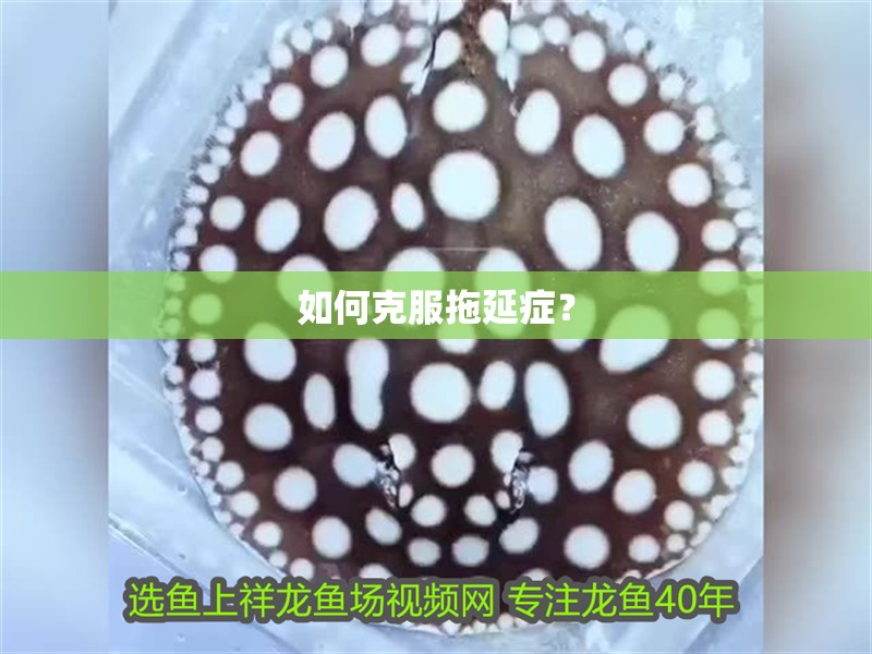 如何克服拖延癥？