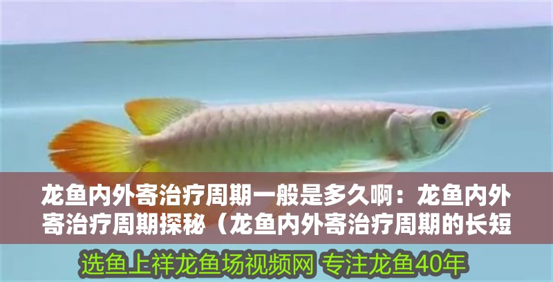 龍魚內(nèi)外寄治療周期一般是多久?。糊堲~內(nèi)外寄治療周期探秘（龍魚內(nèi)外寄治療周期的長(zhǎng)短取決于多種因素） 龍魚內(nèi)外寄治療周期一般是多久?。糊堲~內(nèi)外寄治療周期探秘（龍魚內(nèi)外寄治療周期的長(zhǎng)短取決于多種因素） 水族問(wèn)答