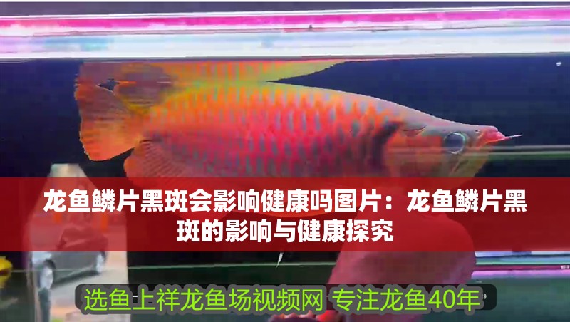 龍魚鱗片黑斑會(huì)影響健康嗎圖片：龍魚鱗片黑斑的影響與健康探究