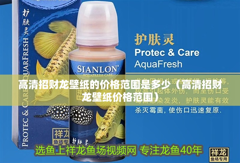 高清招財(cái)龍壁紙的價(jià)格范圍是多少（高清招財(cái)龍壁紙價(jià)格范圍）