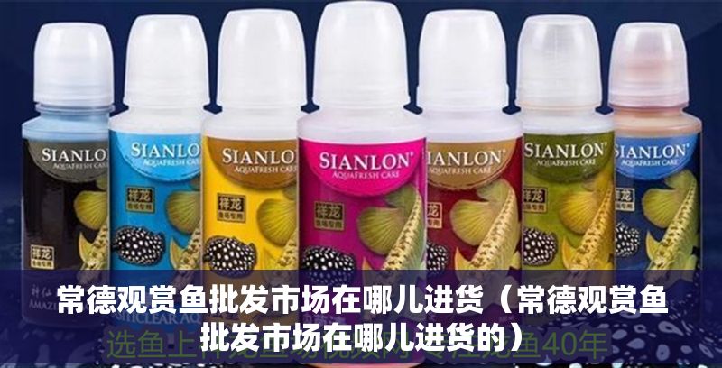 常德觀賞魚批發市場在哪兒進貨（常德觀賞魚批發市場在哪兒進貨的）