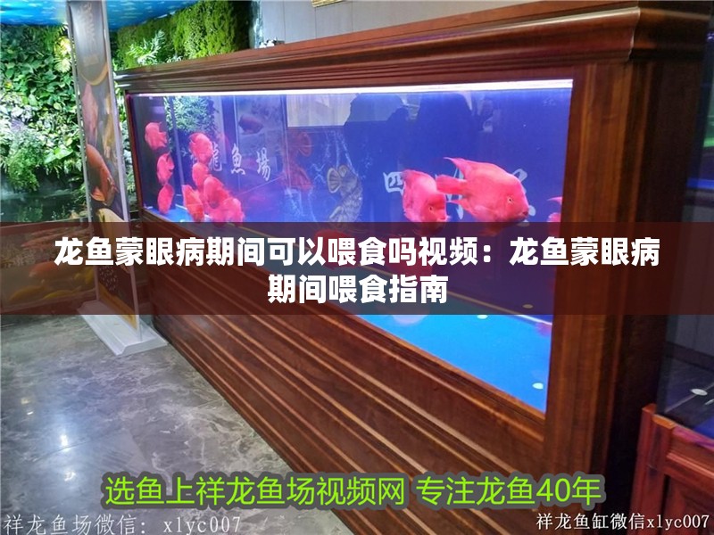 龍魚蒙眼病期間可以喂食嗎視頻：龍魚蒙眼病期間喂食指南