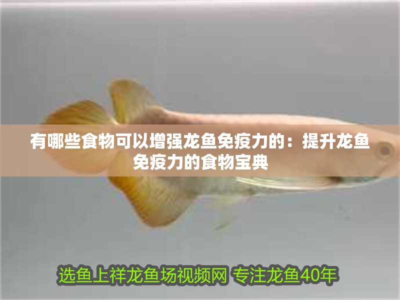 有哪些食物可以增強龍魚免疫力的：提升龍魚免疫力的食物寶典 有哪些食物可以增強龍魚免疫力的：提升龍魚免疫力的食物寶典 水族問答