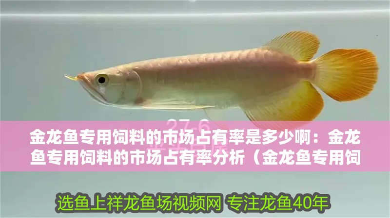 金龍魚專用飼料的市場占有率是多少啊：金龍魚專用飼料的市場占有率分析（金龍魚專用飼料市場占有率提升金龍魚專用飼料市場占有率）