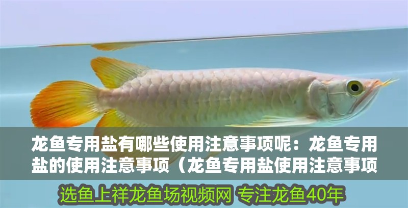 龍魚專用鹽有哪些使用注意事項呢：龍魚專用鹽的使用注意事項（龍魚專用鹽使用注意事項）
