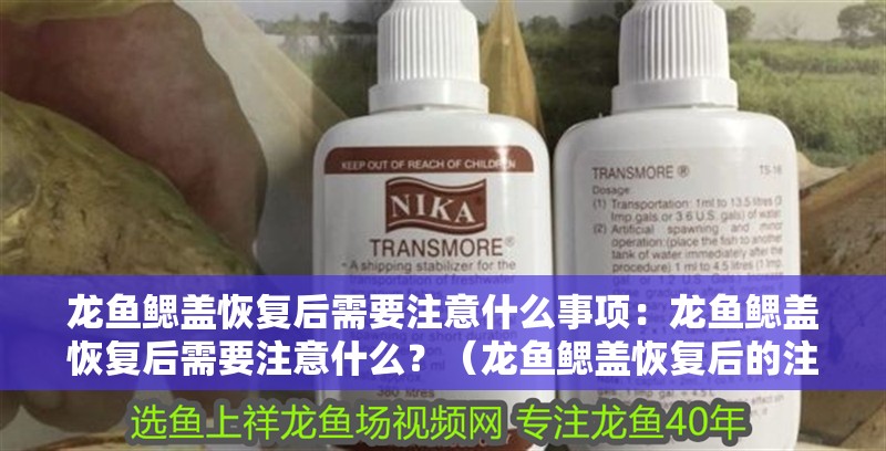 龍魚鰓蓋恢復后需要注意什么事項：龍魚鰓蓋恢復后需要注意什么？（龍魚鰓蓋恢復后的注意事項）