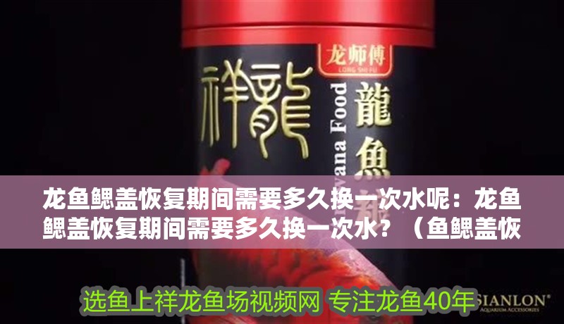龍魚鰓蓋恢復期間需要多久換一次水呢：龍魚鰓蓋恢復期間需要多久換一次水？（魚鰓蓋恢復期間的水質(zhì)管理是確保其健康和快速復原的關(guān)鍵）
