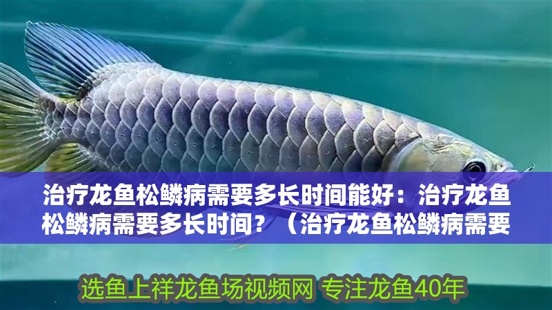 治療龍魚松鱗病需要多長時間能好：治療龍魚松鱗病需要多長時間？（治療龍魚松鱗病需要多長時間呢？）