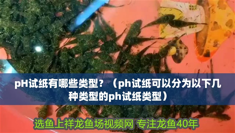 pH試紙有哪些類型？（ph試紙可以分為以下幾種類型的ph試紙類型） pH試紙有哪些類型？（ph試紙可以分為以下幾種類型的ph試紙類型） 龍魚百科