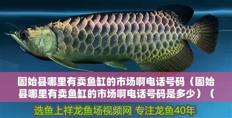 固始縣哪里有賣魚缸的市場啊電話號碼（固始縣哪里有賣魚缸的市場啊電話號碼是多少）（固始縣哪里有賣魚缸的市場）