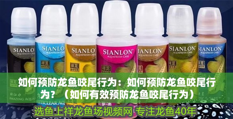 如何預(yù)防龍魚咬尾行為：如何預(yù)防龍魚咬尾行為？（如何有效預(yù)防龍魚咬尾行為）