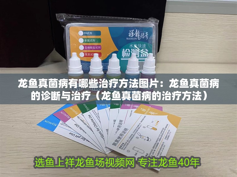 龍魚真菌病有哪些治療方法圖片：龍魚真菌病的診斷與治療（龍魚真菌病的治療方法）