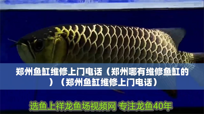 鄭州魚缸維修上門電話（鄭州哪有維修魚缸的）（鄭州魚缸維修上門電話）
