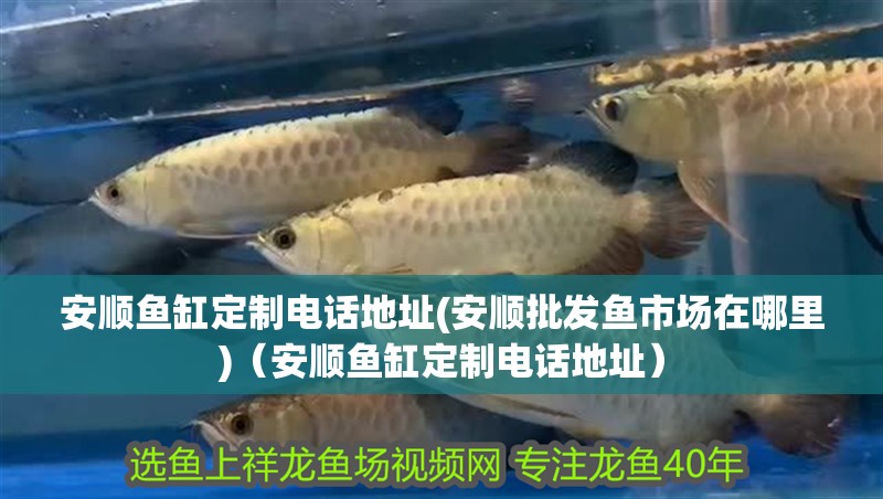 安順魚缸定制電話地址(安順批發魚市場在哪里)（安順魚缸定制電話地址）