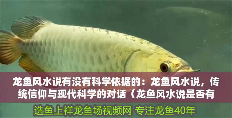 龍魚風(fēng)水說有沒有科學(xué)依據(jù)的：龍魚風(fēng)水說，傳統(tǒng)信仰與現(xiàn)代科學(xué)的對話（龍魚風(fēng)水說是否有科學(xué)依據(jù)）