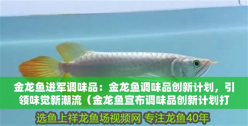 金龍魚進軍調味品：金龍魚調味品創新計劃，引領味覺新潮流（金龍魚宣布調味品創新計劃打造特色調味品創新計劃）