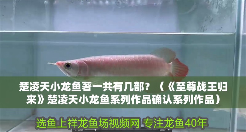 楚凌天小龍魚著一共有幾部？（《至尊戰(zhàn)王歸來》楚凌天小龍魚系列作品確認(rèn)系列作品）