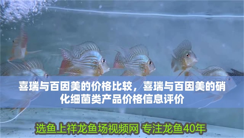喜瑞與百因美的價格比較，喜瑞與百因美的硝化細菌類產品價格信息評價