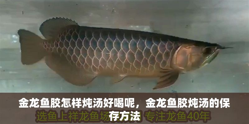 金龍魚膠怎樣燉湯好喝呢，金龍魚膠燉湯的保存方法