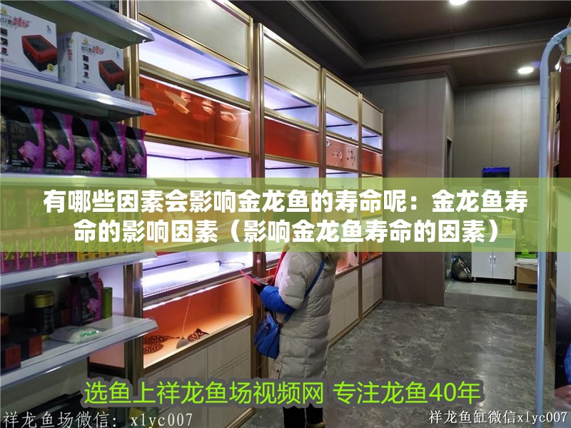 有哪些因素會影響金龍魚的壽命呢：金龍魚壽命的影響因素（影響金龍魚壽命的因素）