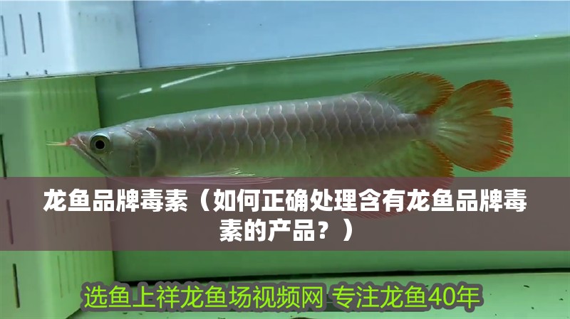 龍魚品牌毒素（如何正確處理含有龍魚品牌毒素的產(chǎn)品？）