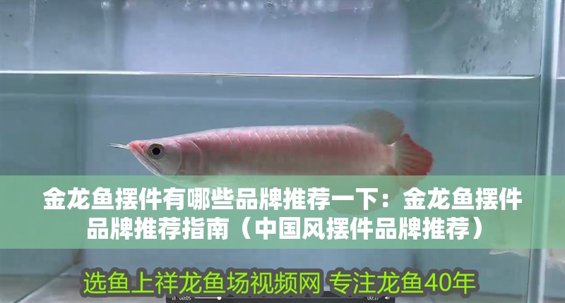 金龍魚擺件有哪些品牌推薦一下：金龍魚擺件品牌推薦指南（中國風擺件品牌推薦）