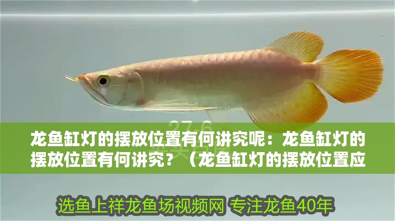 龍魚缸燈的擺放位置有何講究呢：龍魚缸燈的擺放位置有何講究？（龍魚缸燈的擺放位置應(yīng)綜合考慮光照強度、均勻性、均勻性）
