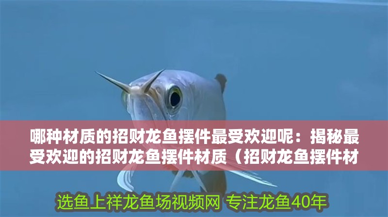 哪種材質的招財龍魚擺件最受歡迎呢：揭秘最受歡迎的招財龍魚擺件材質（招財龍魚擺件材質的招財龍魚擺件最受歡迎哪種材質的龍魚擺件）