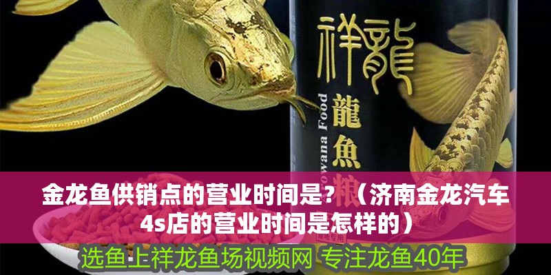 金龍魚供銷點的營業時間是？（濟南金龍汽車4s店的營業時間是怎樣的）