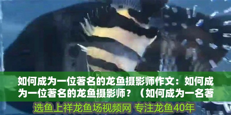 如何成為一位著名的龍魚(yú)攝影師作文：如何成為一位著名的龍魚(yú)攝影師？（如何成為一名著名的龍魚(yú)攝影師）