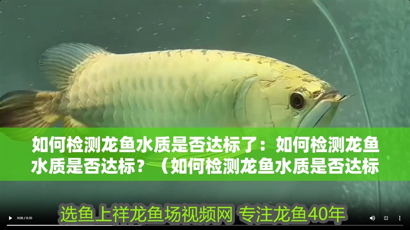 如何檢測(cè)龍魚水質(zhì)是否達(dá)標(biāo)了：如何檢測(cè)龍魚水質(zhì)是否達(dá)標(biāo)？（如何檢測(cè)龍魚水質(zhì)是否達(dá)標(biāo)） 如何檢測(cè)龍魚水質(zhì)是否達(dá)標(biāo)了：如何檢測(cè)龍魚水質(zhì)是否達(dá)標(biāo)？（如何檢測(cè)龍魚水質(zhì)是否達(dá)標(biāo)） 水族問答