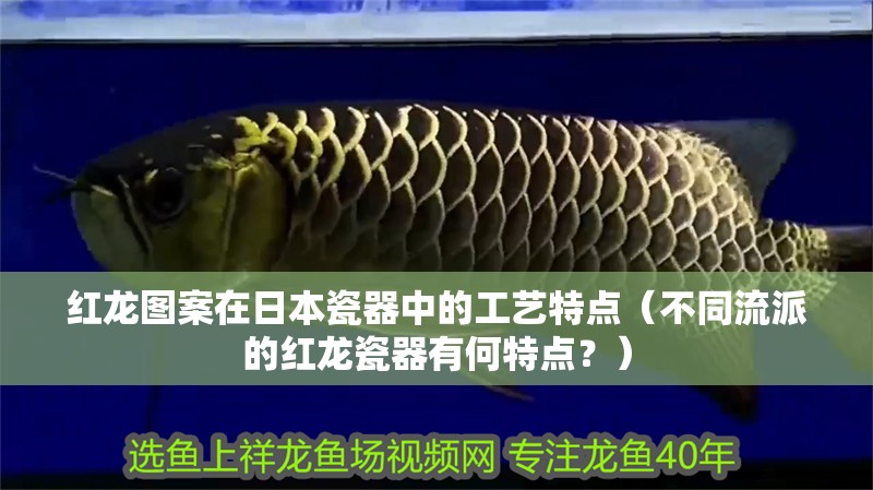 紅龍圖案在日本瓷器中的工藝特點（不同流派的紅龍瓷器有何特點？）