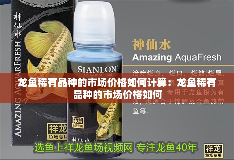 龍魚稀有品種的市場價格如何計算：龍魚稀有品種的市場價格如何