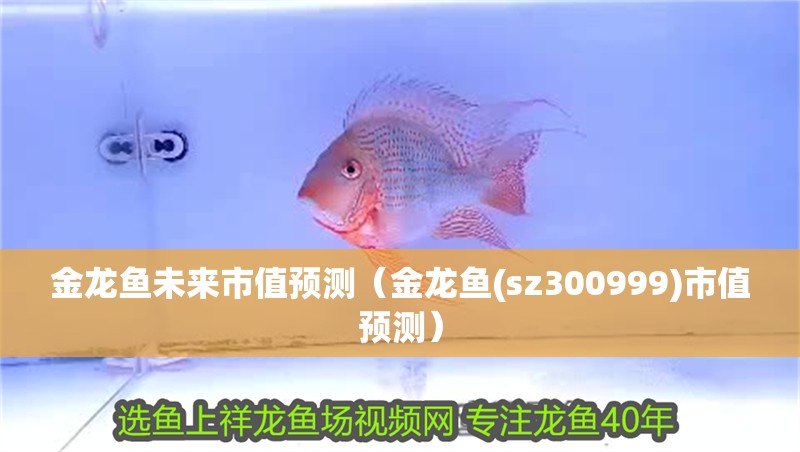 金龍魚未來市值預測（金龍魚(sz300999)市值預測）