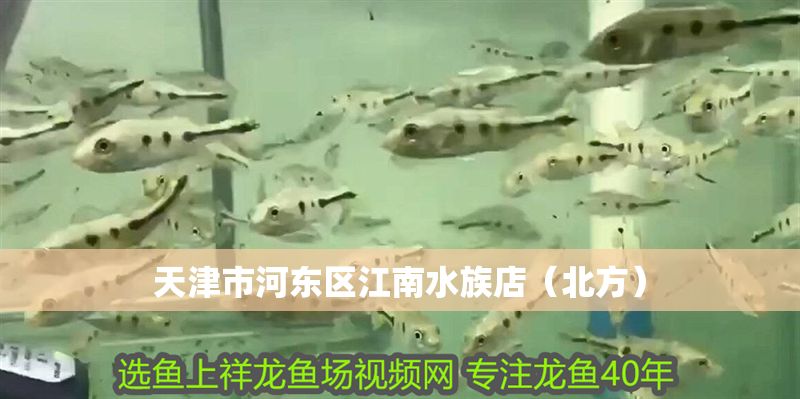 天津市河東區江南水族店（北方）