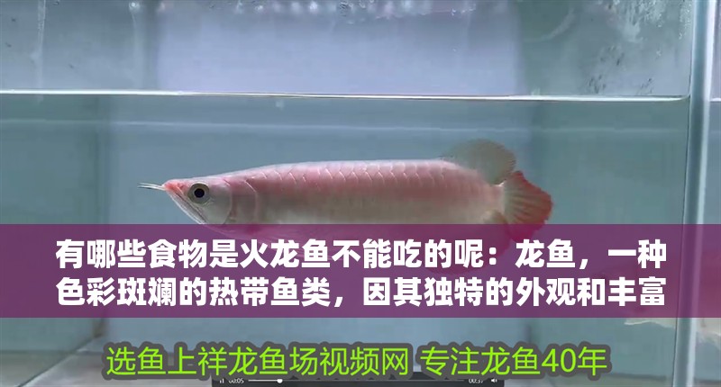 有哪些食物是火龍魚不能吃的呢：龍魚，一種色彩斑斕的熱帶魚類，因其獨特的外觀和豐富的營養價值而受到許多人的喜愛。然而，對于火龍魚來說，并非所有的食物都是安全的。以下是一些火龍魚不能吃的食物（火龍魚不能吃的食物，對火龍魚的健康構成威脅）