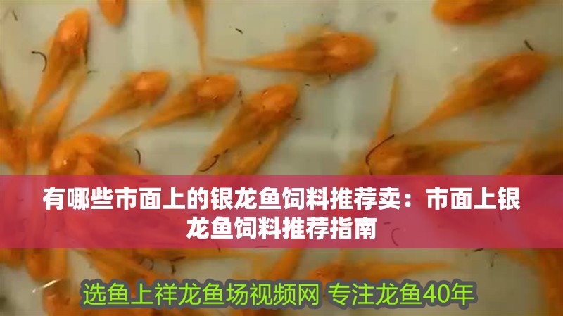 有哪些市面上的銀龍魚飼料推薦賣：市面上銀龍魚飼料推薦指南