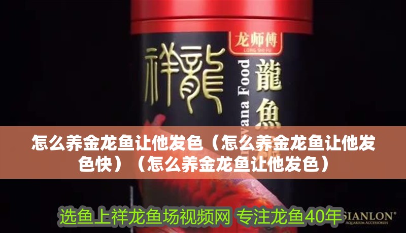 怎么養金龍魚讓他發色（怎么養金龍魚讓他發色快）（怎么養金龍魚讓他發色）