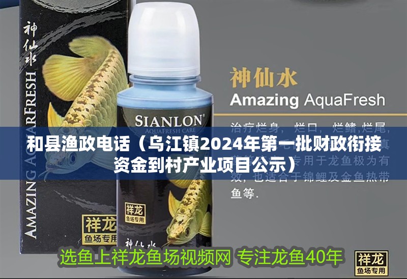 和縣漁政電話（烏江鎮2024年第一批財政銜接資金到村產業項目公示）
