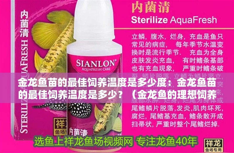 金龍魚苗的最佳飼養(yǎng)溫度是多少度：金龍魚苗的最佳飼養(yǎng)溫度是多少？（金龍魚的理想飼養(yǎng)溫度范圍）