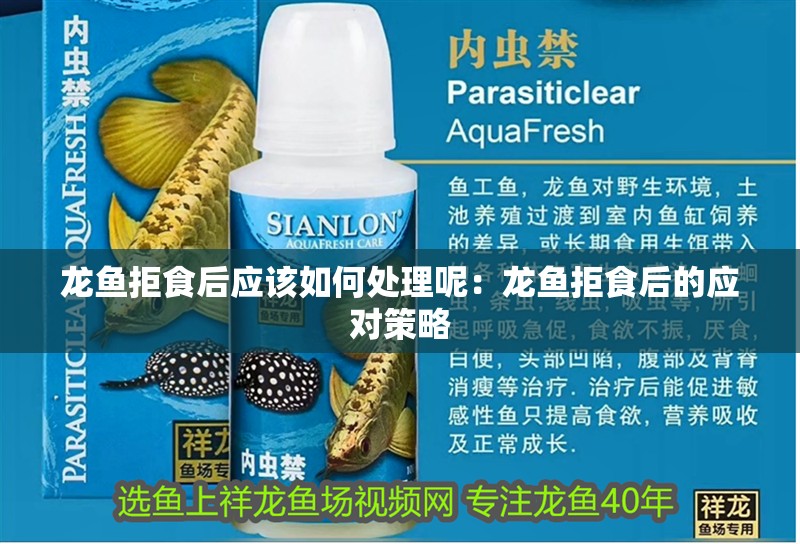 龍魚拒食后應該如何處理呢：龍魚拒食后的應對策略 龍魚拒食后應該如何處理呢：龍魚拒食后的應對策略 水族問答