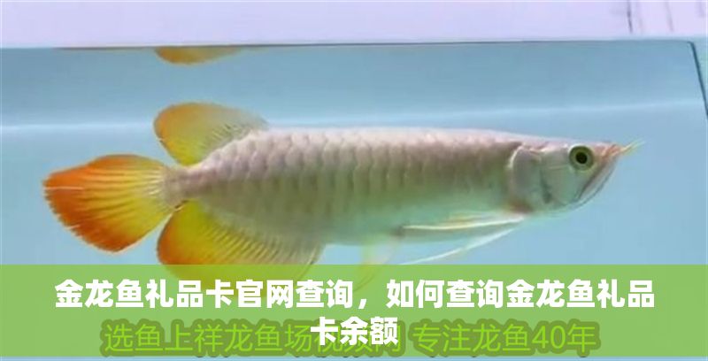 金龍魚禮品卡官網查詢，如何查詢金龍魚禮品卡余額