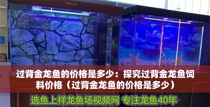 過背金龍魚的價格是多少：探究過背金龍魚飼料價格（過背金龍魚的價格是多少）