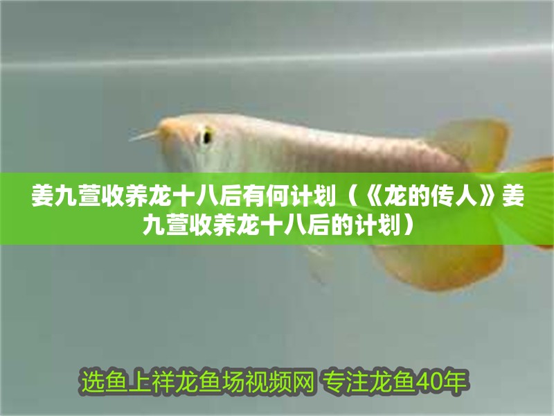 姜九萱收養龍十八后有何計劃（《龍的傳人》姜九萱收養龍十八后的計劃）