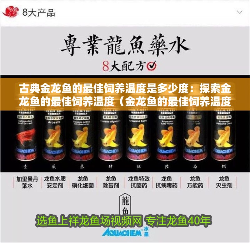 古典金龍魚的最佳飼養(yǎng)溫度是多少度：探索金龍魚的最佳飼養(yǎng)溫度（金龍魚的最佳飼養(yǎng)溫度）
