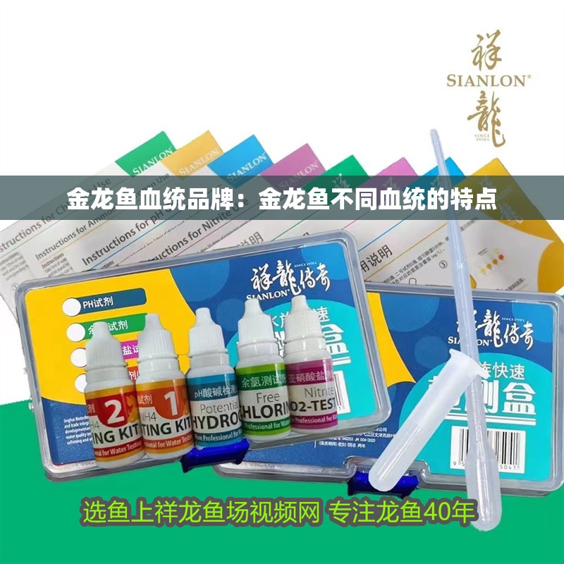 金龍魚血統品牌：金龍魚不同血統的特點